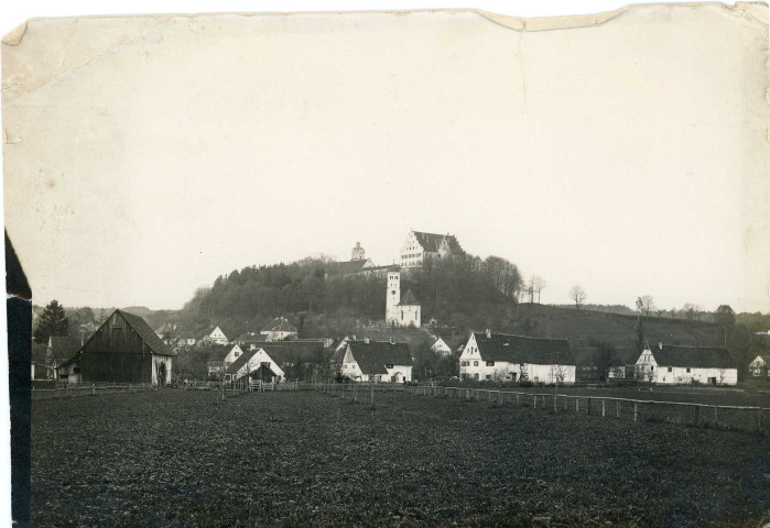 [Vue de la forteresse de Neuburg depuis la vallée]