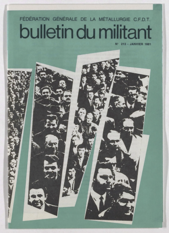 n°213, janvier 1981